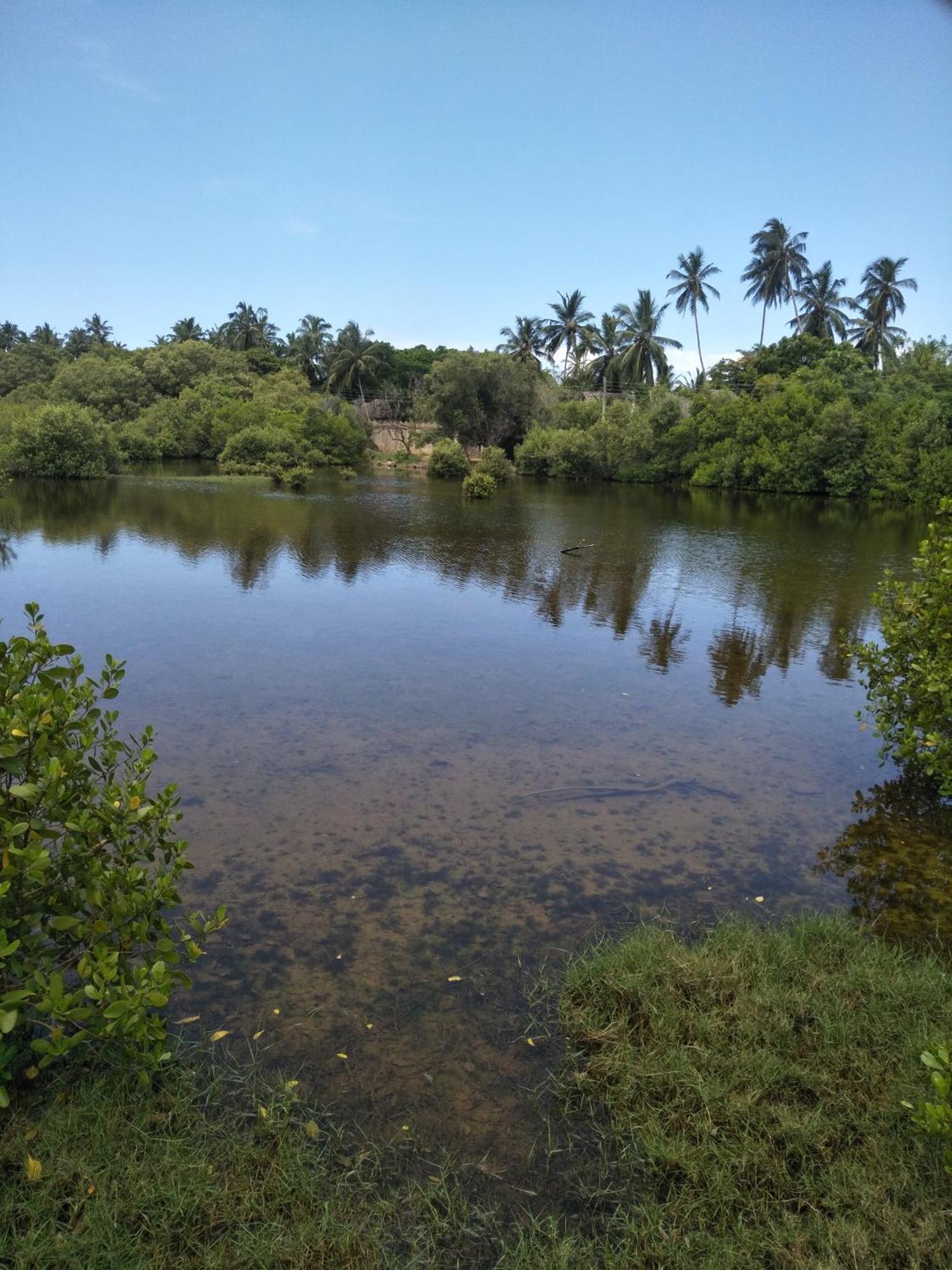 Rock Pool Residence Tangalle Buitenkant foto
