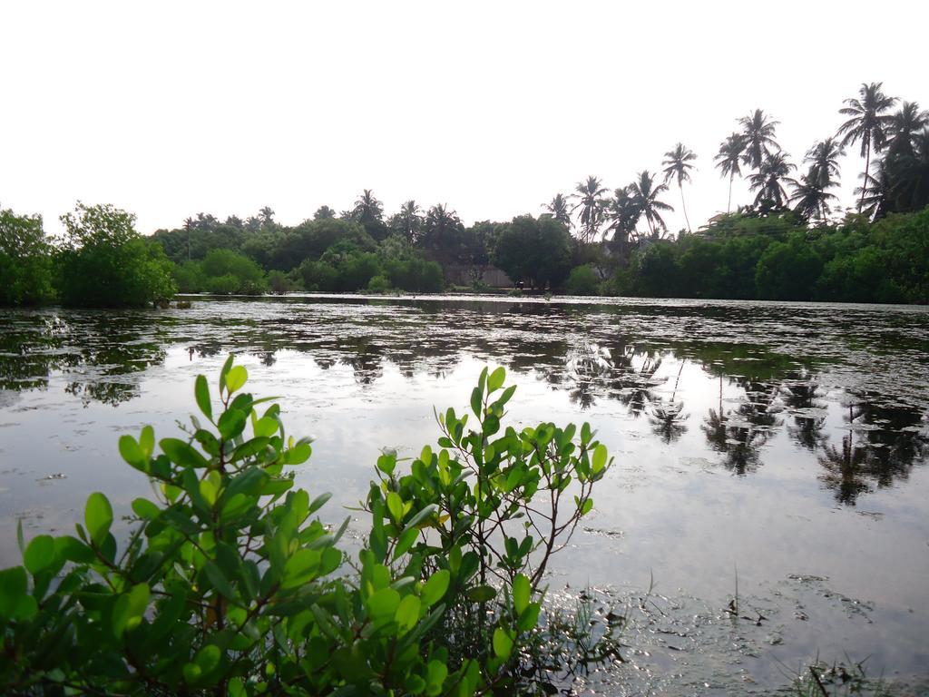 Rock Pool Residence Tangalle Buitenkant foto