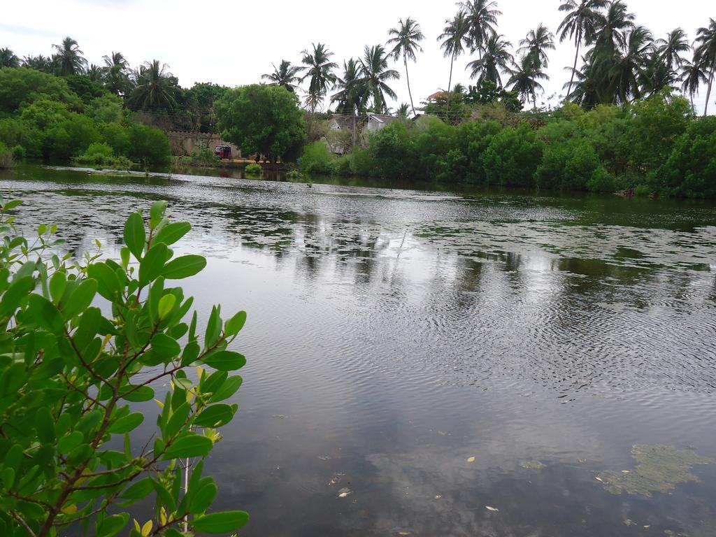 Rock Pool Residence Tangalle Buitenkant foto