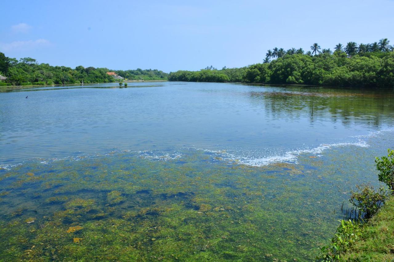 Rock Pool Residence Tangalle Buitenkant foto